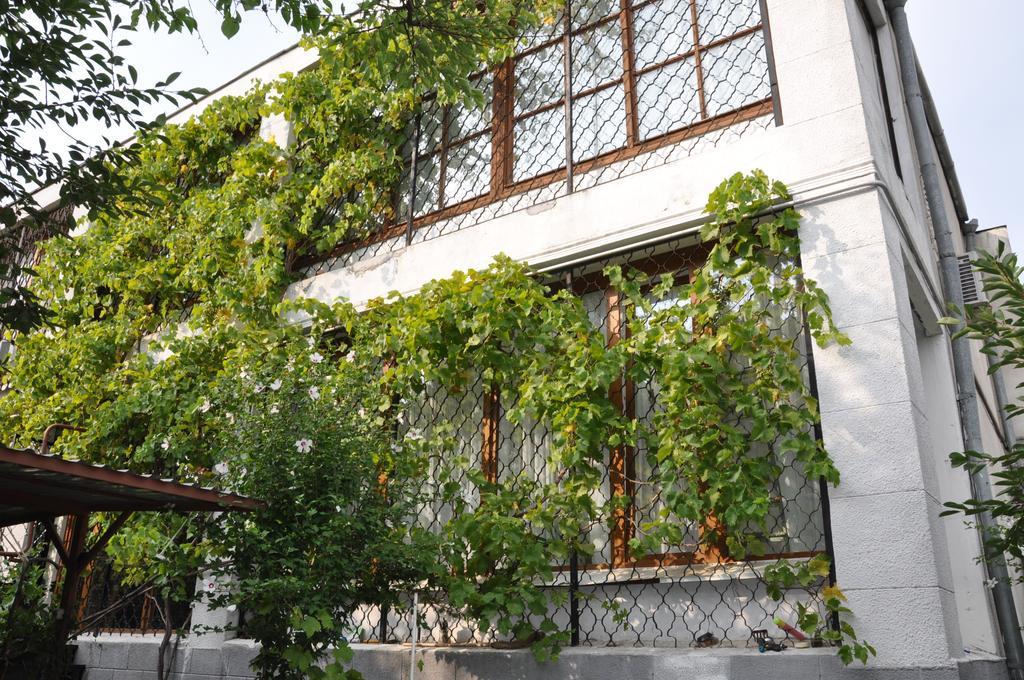 Villa Ivana Odessa Eksteriør bilde